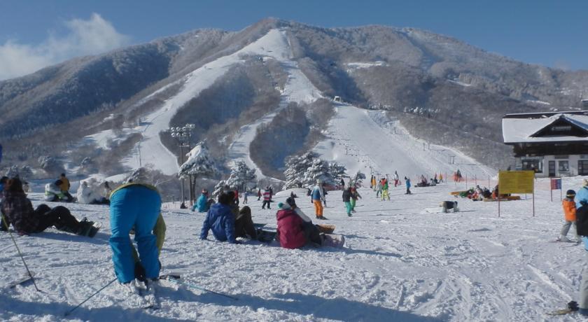 Отель Pension Ringojam