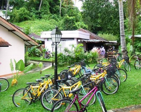 Celestial Ubin Beach Resort