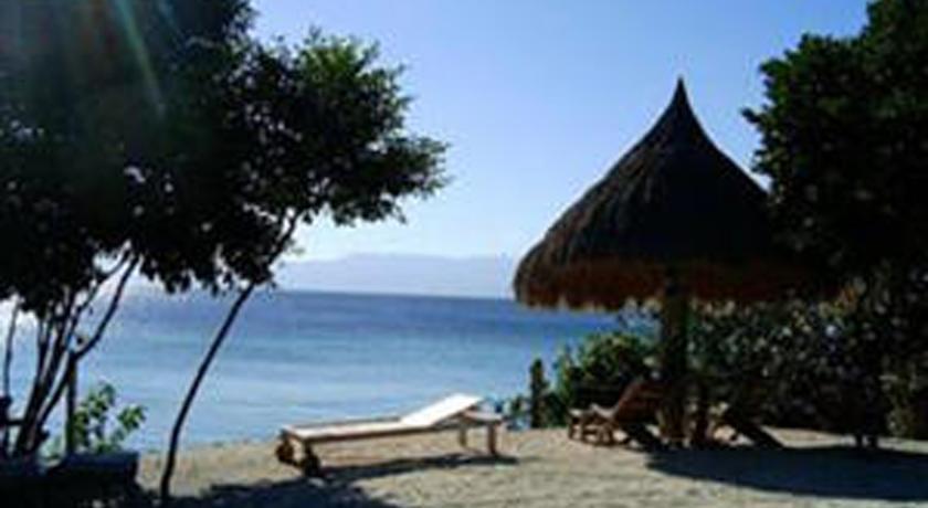 Мини-отель Sea Turtle House Moalboal