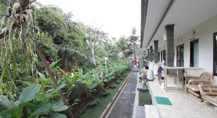Citrus Tree B&B - Widia