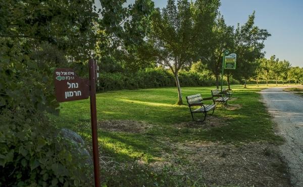 Отель Besade Golan