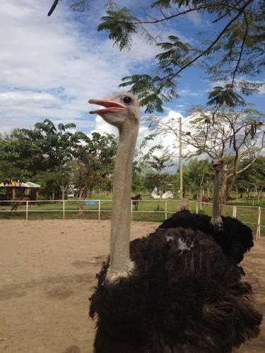Отель Wana Horse and Ostrich Farm