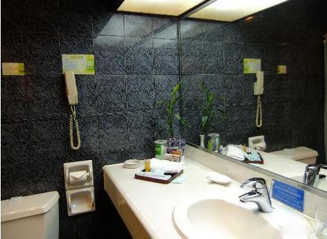Отель Celeste Palace International Hotel