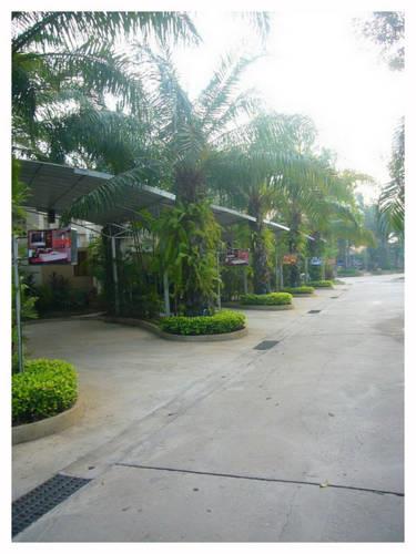 Гостевой дом Suanpalm Garden View