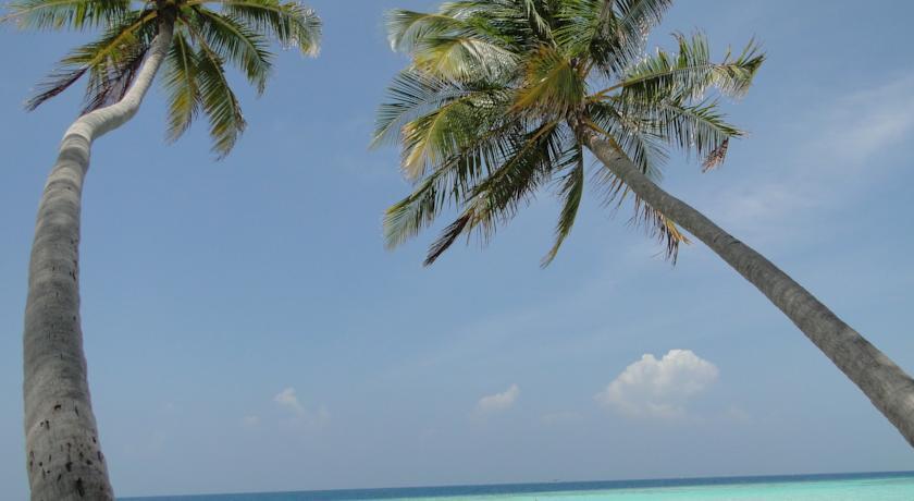 Гостевой дом Equator Beach inn