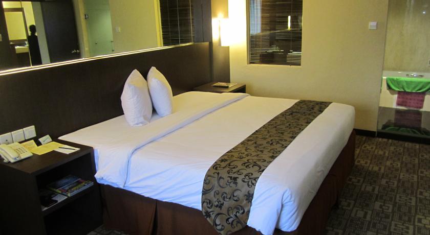 Отель Hotel Polonia