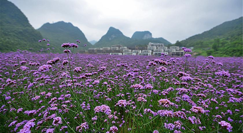 Отель The Emperor Guizhou Libo