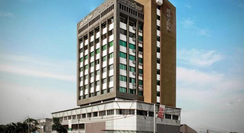 Отель Pine Tree Hotel