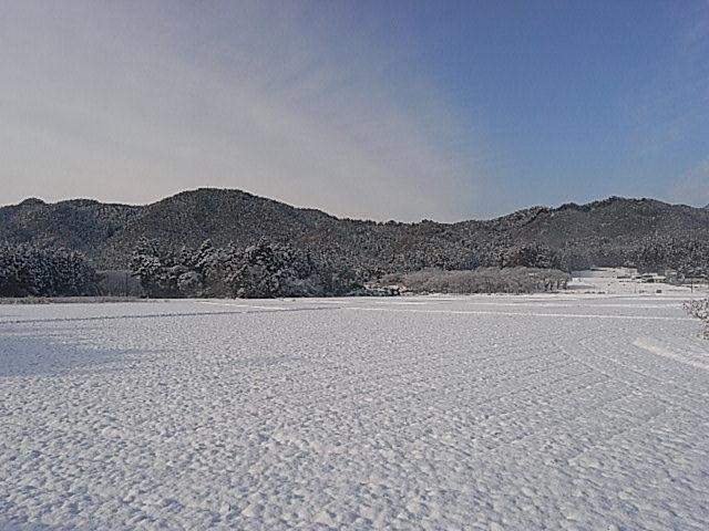 Отель Nikko Inn