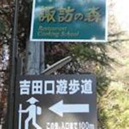 Отель Pension Suwanomori