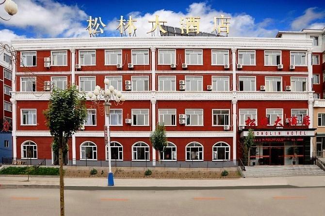 Отель Song Lin Hotel