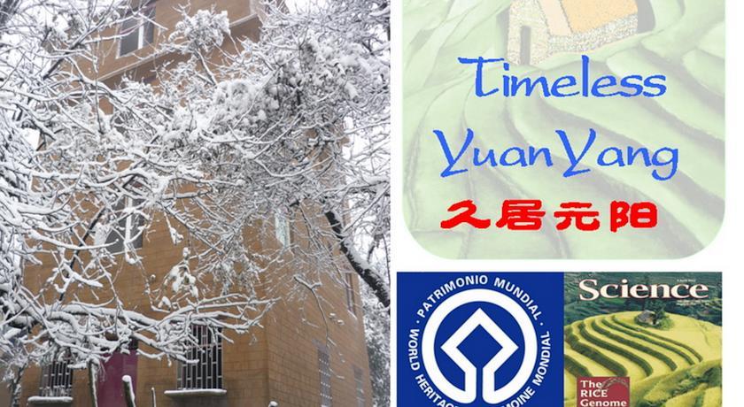 Хостел Timeless Hostel Yuanyang