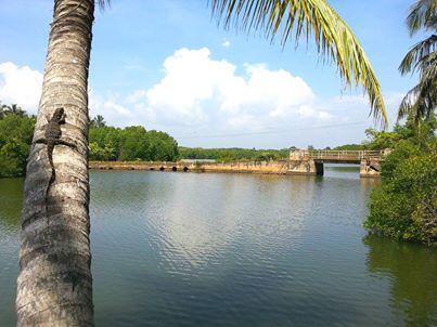 Отель Coconut Island