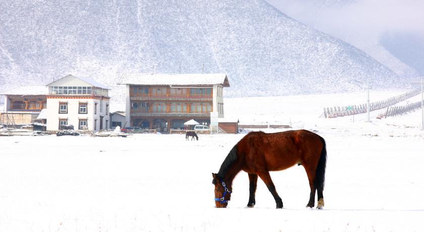 Хостел Shangri-La Lao Shay Youth Hostel