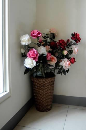 Beauty Home Homestay
