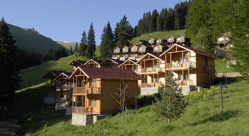 Отель Zitas Zigana Yayla Tatil Koyu