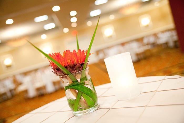 Отель Holiday Inn UNIVERSITY-BLACKSBURG