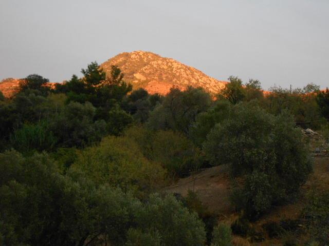 Апартаменты Villa Narlidere