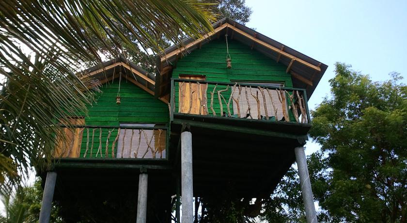 Отель Yala Eco Tree House