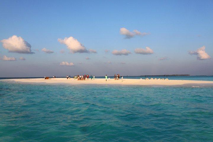 Отель Beach Palace