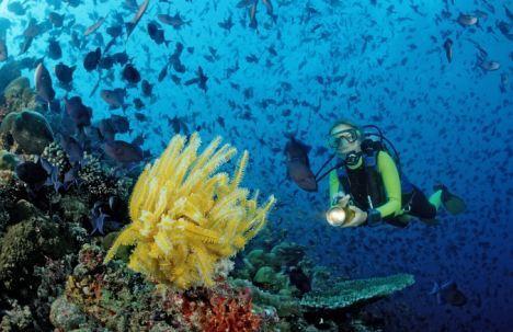 Гостевой дом Sizam Reef View