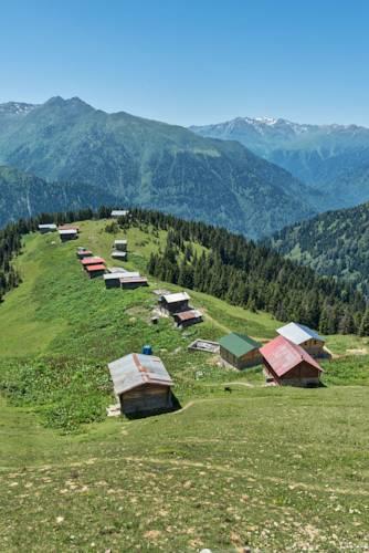 Гостевой дом Pokut Doga Guest House