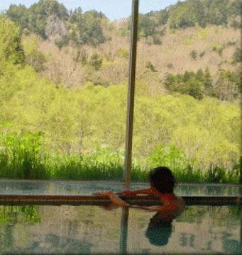 Отель Ishinoyu Lodge