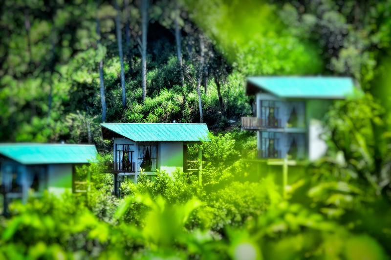 Отель Ella Flower Garden Resort