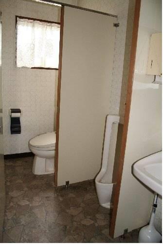 Отель Alpine Inn Mizushiro