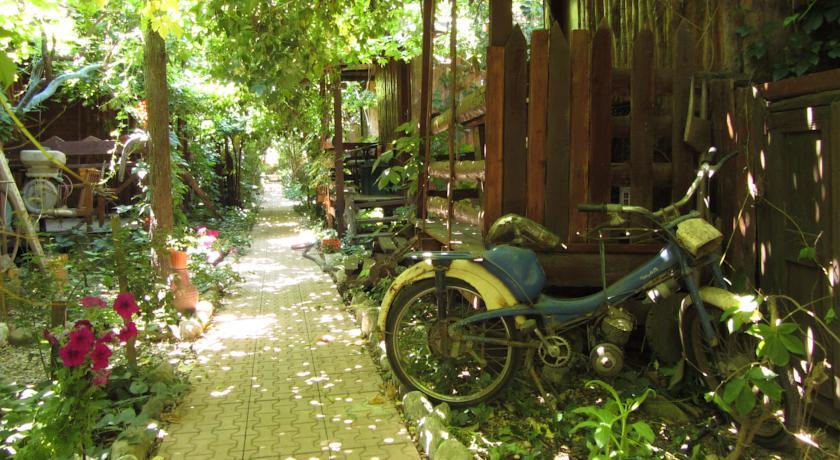 Гостевой дом Olympos Natural Pansiyon