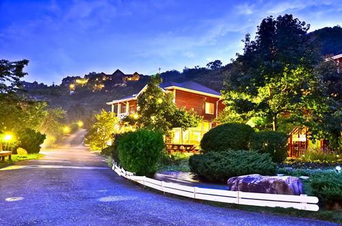 Отель Yosemite Park B&B