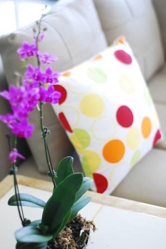 Мини-отель Green Window Homestay