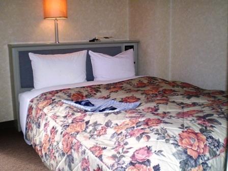 Отель Hotel Machida Villa