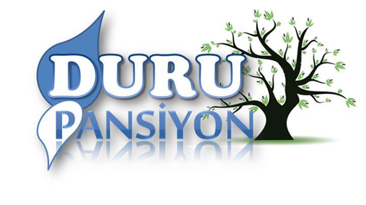Отель Duru Pension