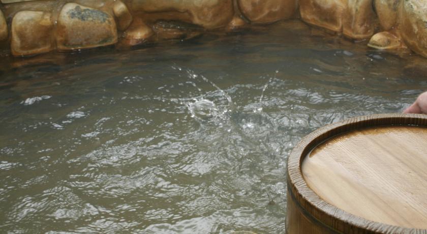 Отель Nogawaya Ryokan