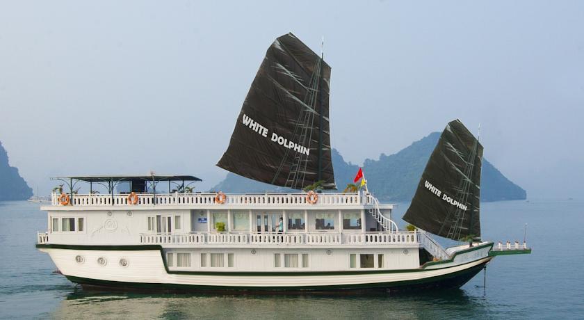 Luxury White Dolphin Cruises
