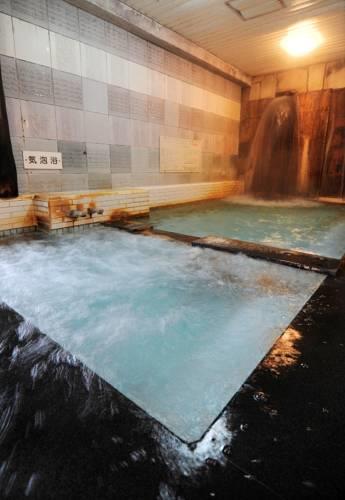 Отель Hotel New Nishino
