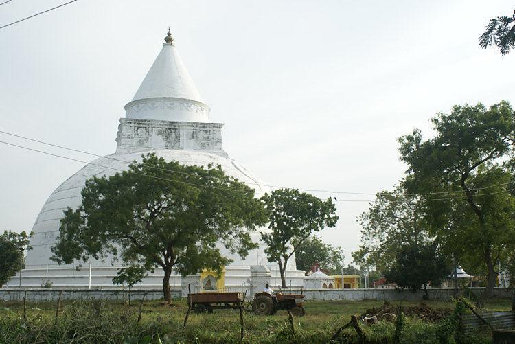 Отель Ajith Safari Lodge