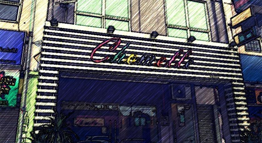 Отель Chomelle Hotel