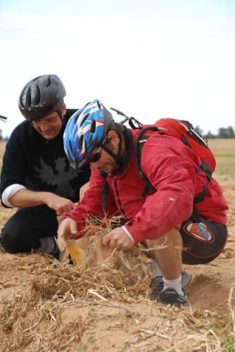 Отель Kibbutz Tze'elim Country Lodging