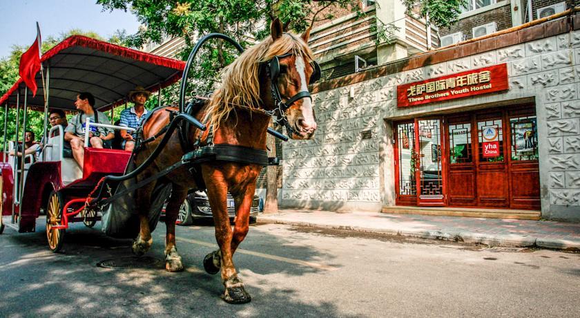 Хостел Tianjin Three Brothers Youth Hostel