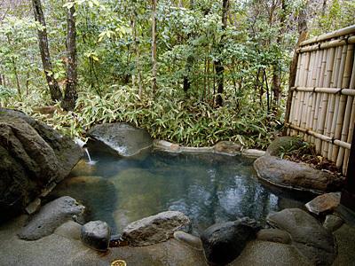 Отель Ryokan Sanga
