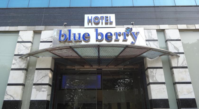 Blueberry