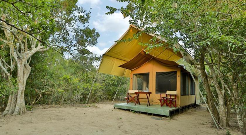 Отель WildTrails - Yala, Tented Safari Camp