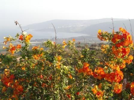 Отель Chen Ba'Galil