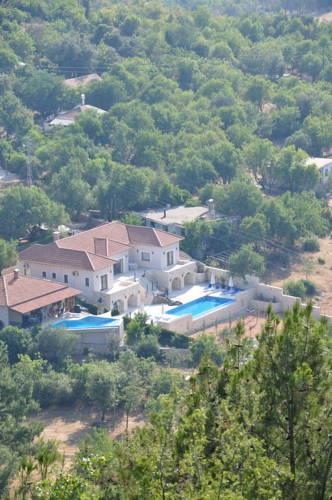 Villa Zen House