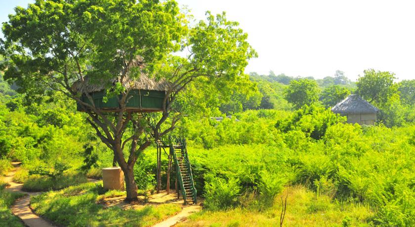 Отель Beddegama Ecopark - Yala