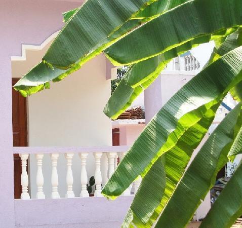 Гостевой дом Fraddie Guest House