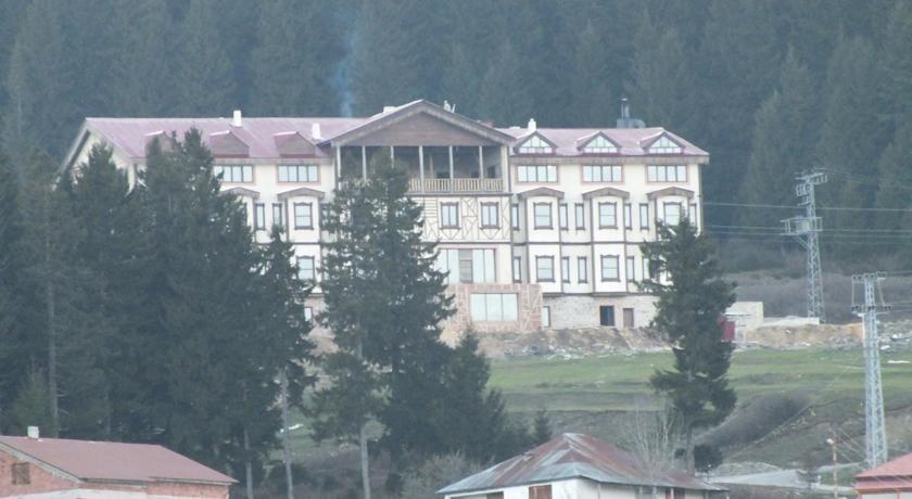 Отель Zifin Hotel