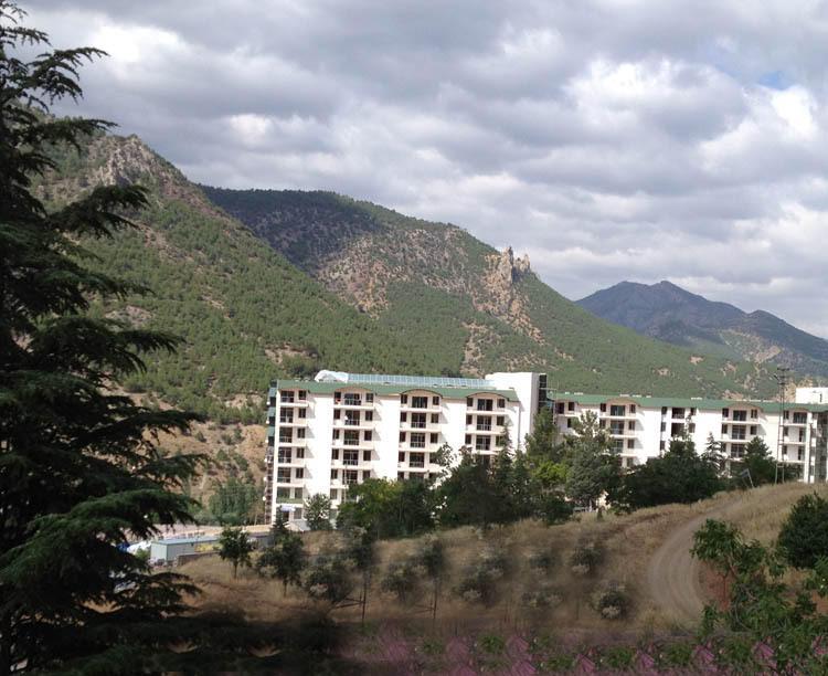 Отель Ciftehan Thermal Hotel